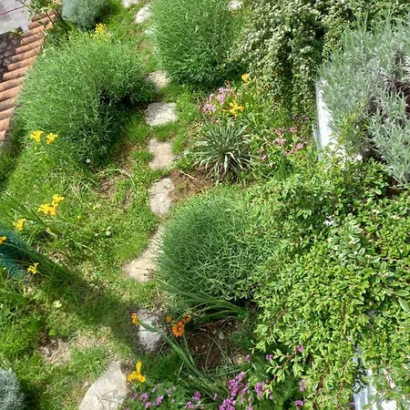 Iris I Ana * 크리크베니카