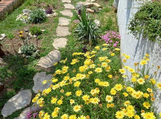 Iris I Ana *